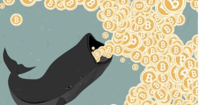 bitcoin kimi takip ediyor