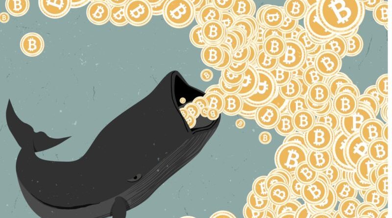 bitcoin kimi takip ediyor